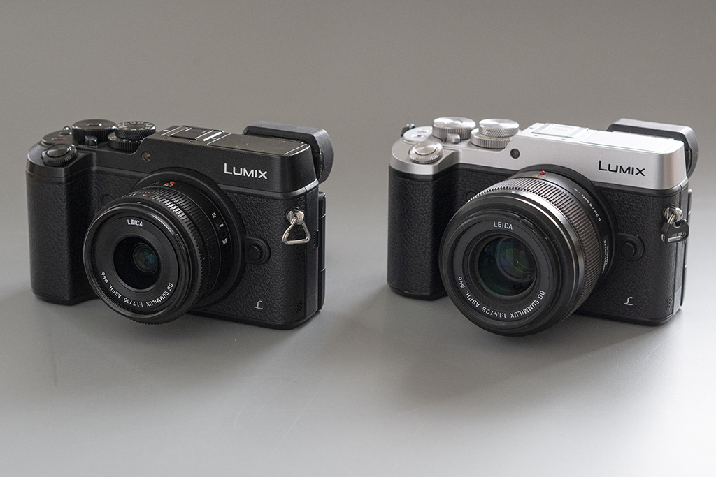 GX8 en Panasonic Leica