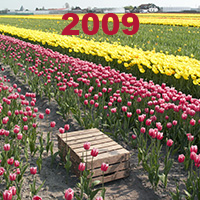 selectie 2009