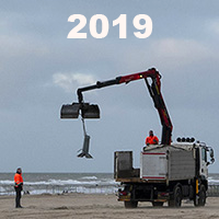 selectie 2019